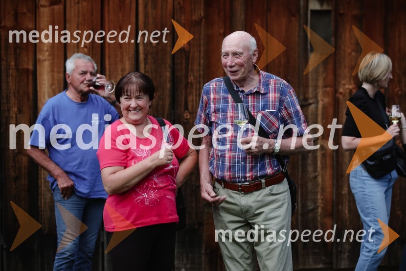 ISKRIVO V ŽIVO - Miha Šalehar v pogovoru z Natašo Štefe