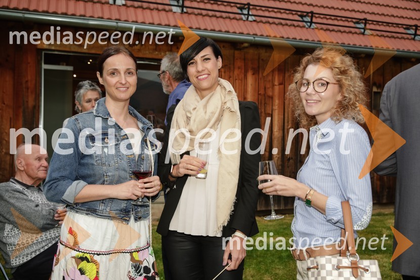 ISKRIVO V ŽIVO - Miha Šalehar v pogovoru z Natašo Štefe