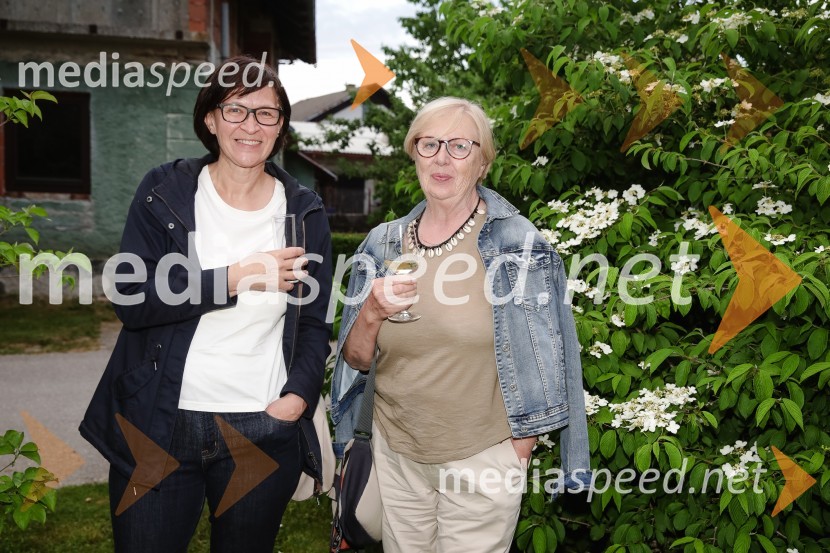 ISKRIVO V ŽIVO - Miha Šalehar v pogovoru z Natašo Štefe