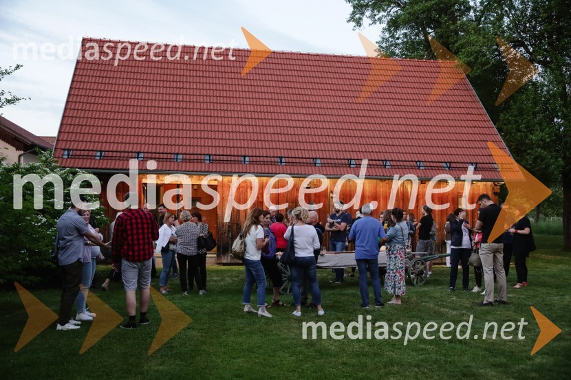 ISKRIVO V ŽIVO - Miha Šalehar v pogovoru z Natašo Štefe