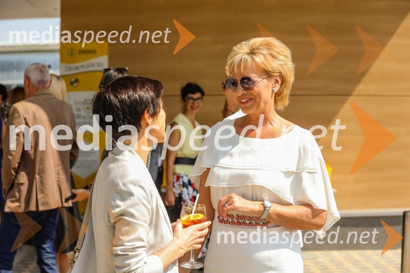  ... ;  Aleša Mižigoj, direktorica Medex, d. o. o.Bee the change, trajnostni dogodek, Medex