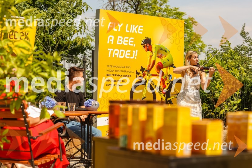  Maša Golob, violinistkaBee the change, trajnostni dogodek, Medex