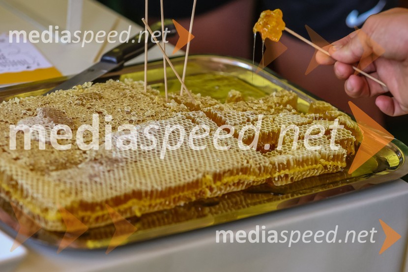 Bee the change, trajnostni dogodek, Medex