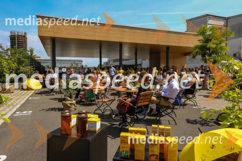 Bee the change, trajnostni dogodek, Medex