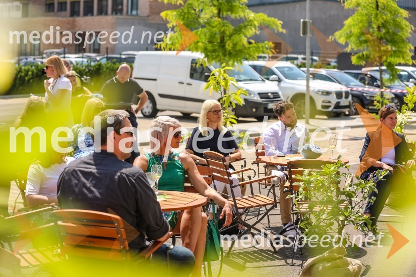 Bee the change, trajnostni dogodek, Medex