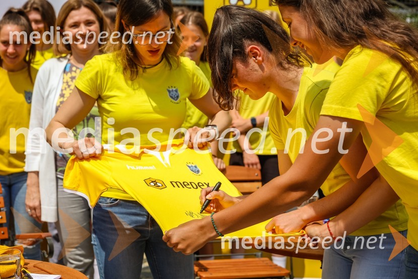 Bee the change, trajnostni dogodek, Medex