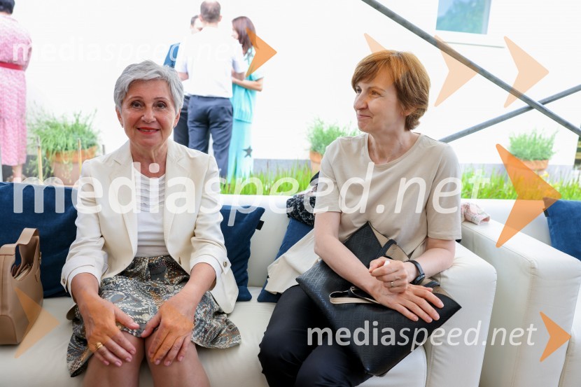 Kraljičina rojstnodnevna zabava v rezidenci Britanskega veleposlaništva