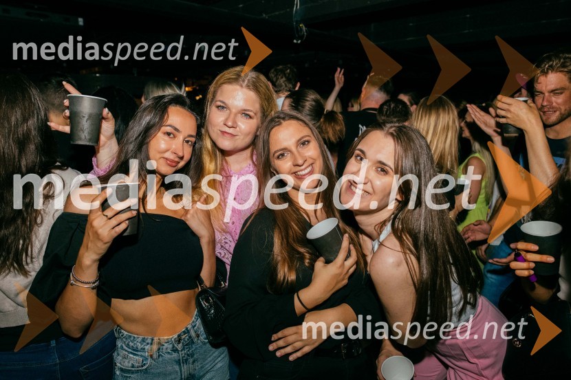 Popstars united, koncert