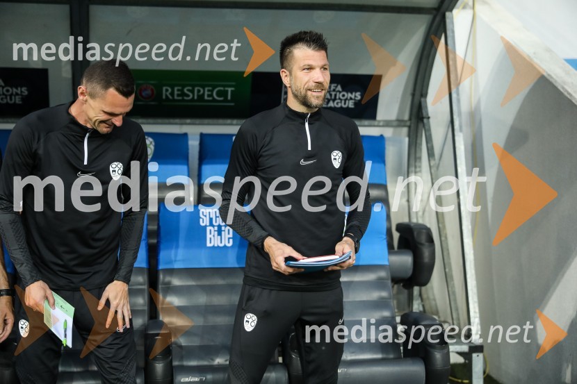 Liga narodov: Slovenija - Švedska