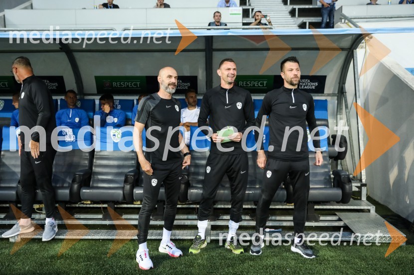 Liga narodov: Slovenija - Švedska