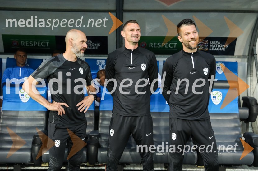 Liga narodov: Slovenija - Švedska