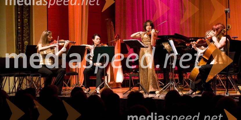 Božično-novoletni koncert violinistke Anje BukovecAnja Bukovec, božično-novoletni koncert