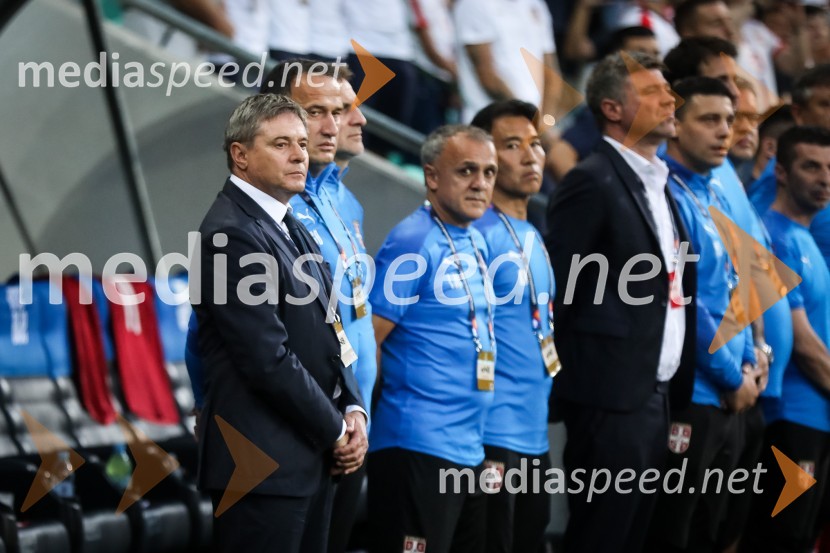 Nogometna tekma Slovenija-Srbija