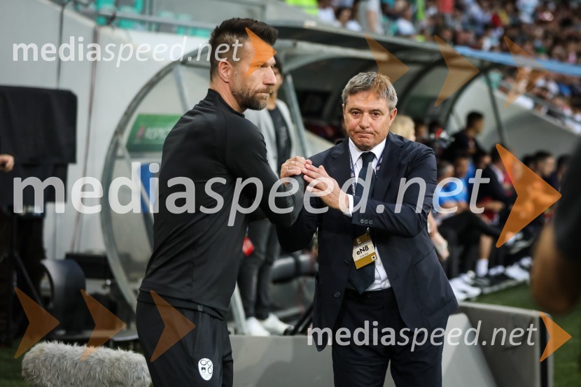 Nogometna tekma Slovenija-Srbija