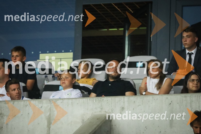 Nogometna tekma Slovenija-Srbija