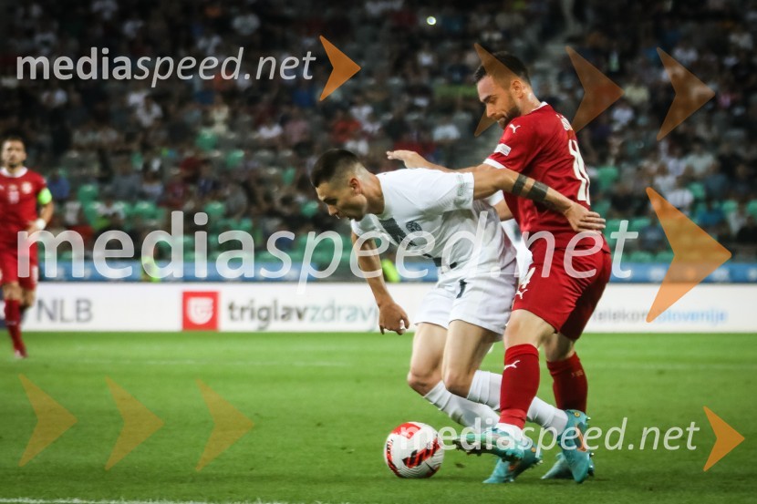 Nogometna tekma Slovenija-Srbija