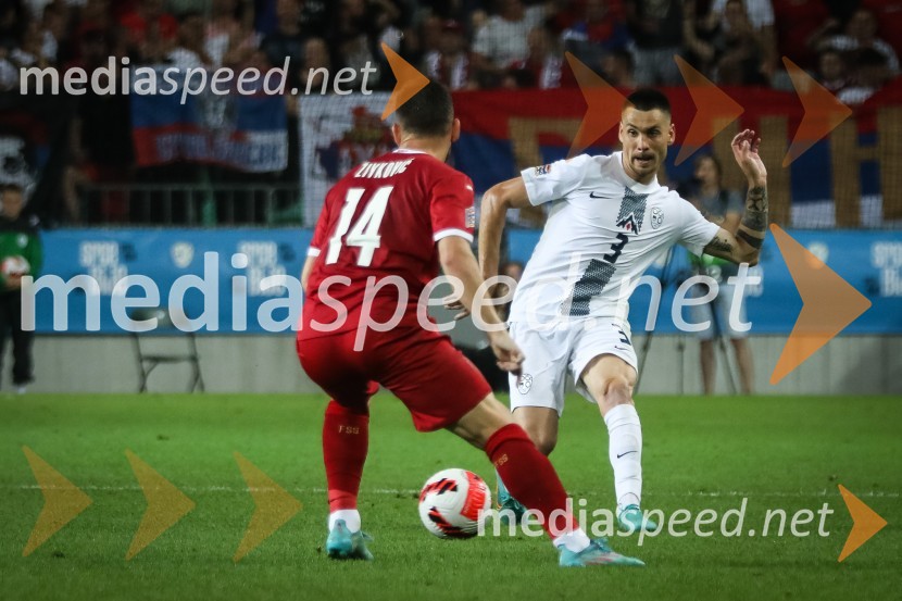  ... ;  Gregor  Sikošek, nogometaš, NK DomžaleNogometna tekma Slovenija-Srbija