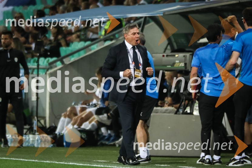 Nogometna tekma Slovenija-Srbija