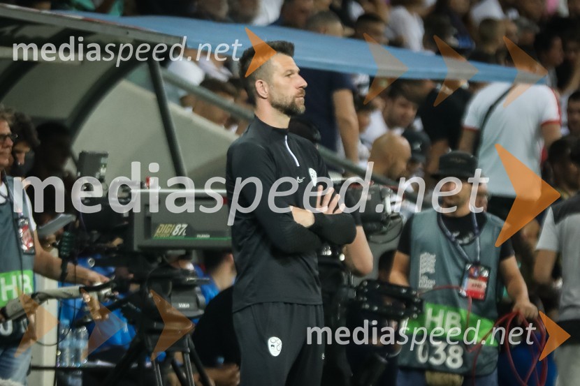 Nogometna tekma Slovenija-Srbija