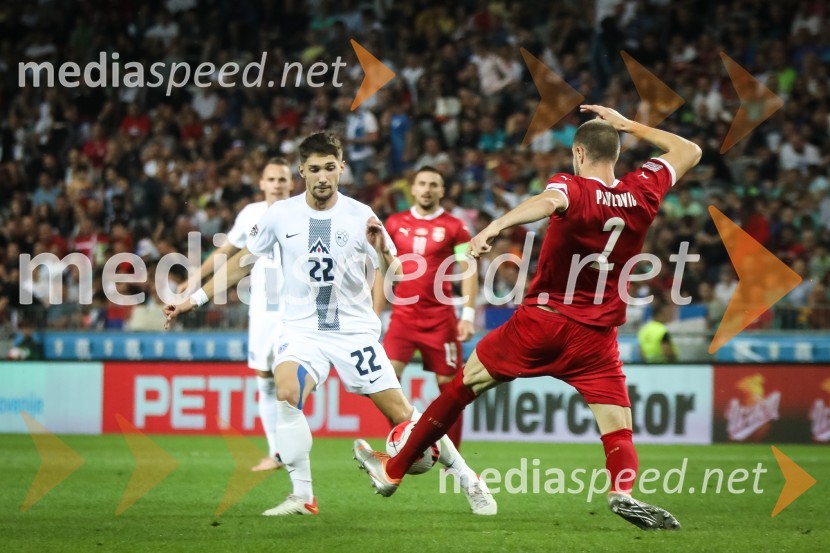  Adam Gnezda Čerin, nogometaš, NK Domžale;  ... Nogometna tekma Slovenija-Srbija