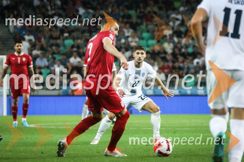  ... ;  Adam Gnezda Čerin, nogometaš, NK DomžaleNogometna tekma Slovenija-Srbija