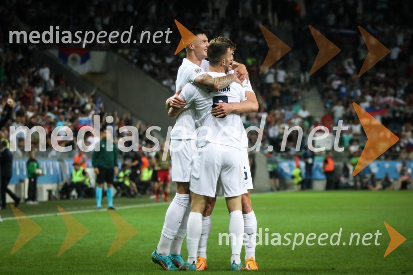 Nogometna tekma Slovenija-Srbija