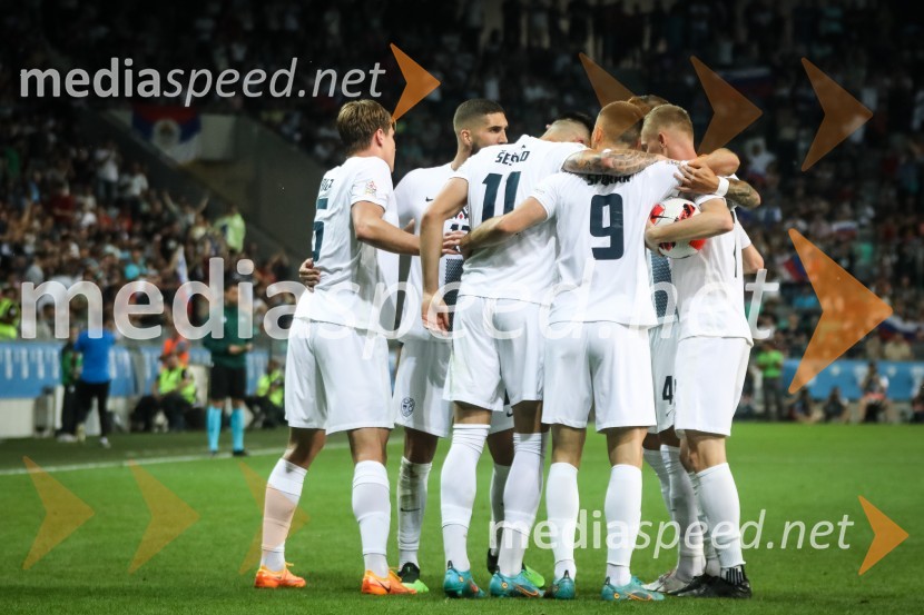 Nogometna tekma Slovenija-Srbija