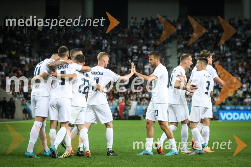 Nogometna tekma Slovenija-Srbija