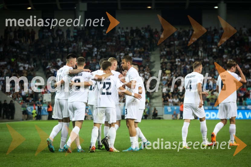 Nogometna tekma Slovenija-Srbija