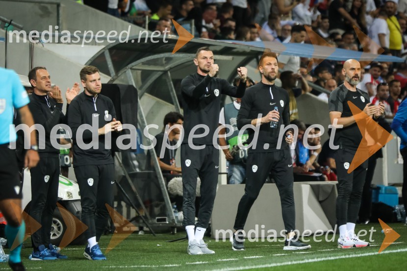 Nogometna tekma Slovenija-Srbija