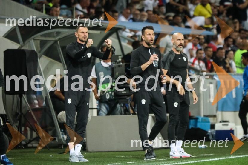 Nogometna tekma Slovenija-Srbija