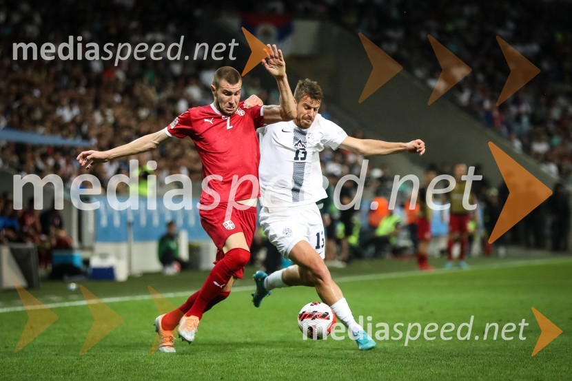  ... ;  Domen Črnigoj, nogometaš, FC LuganoNogometna tekma Slovenija-Srbija