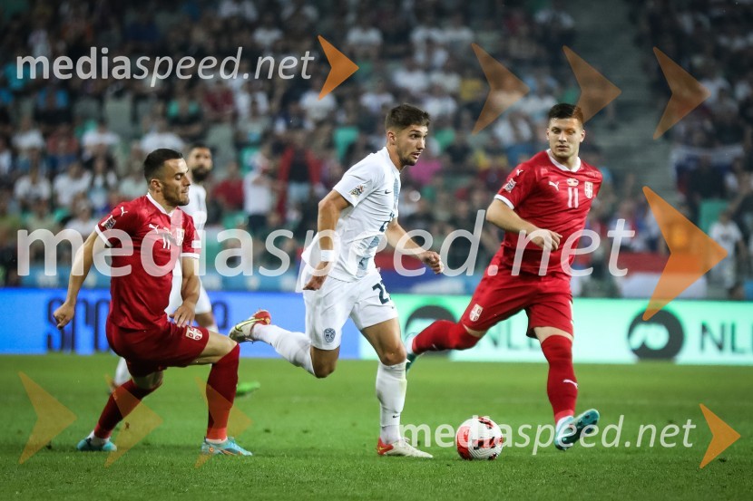  ... ;  Adam Gnezda Čerin, nogometaš, NK Domžale;  ... Nogometna tekma Slovenija-Srbija