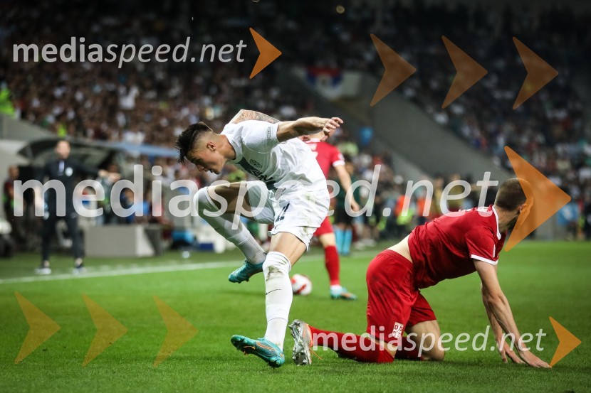 Nogometna tekma Slovenija-Srbija