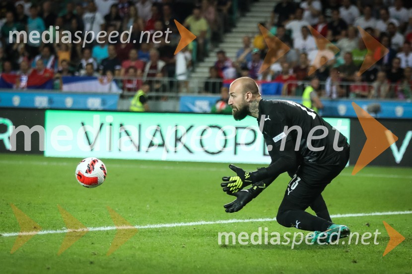 Nogometna tekma Slovenija-Srbija