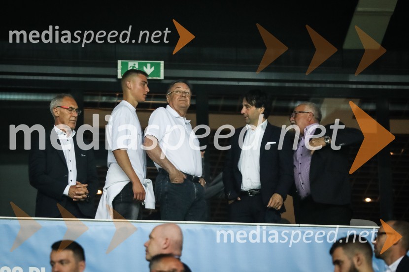 Nogometna tekma Slovenija-Srbija