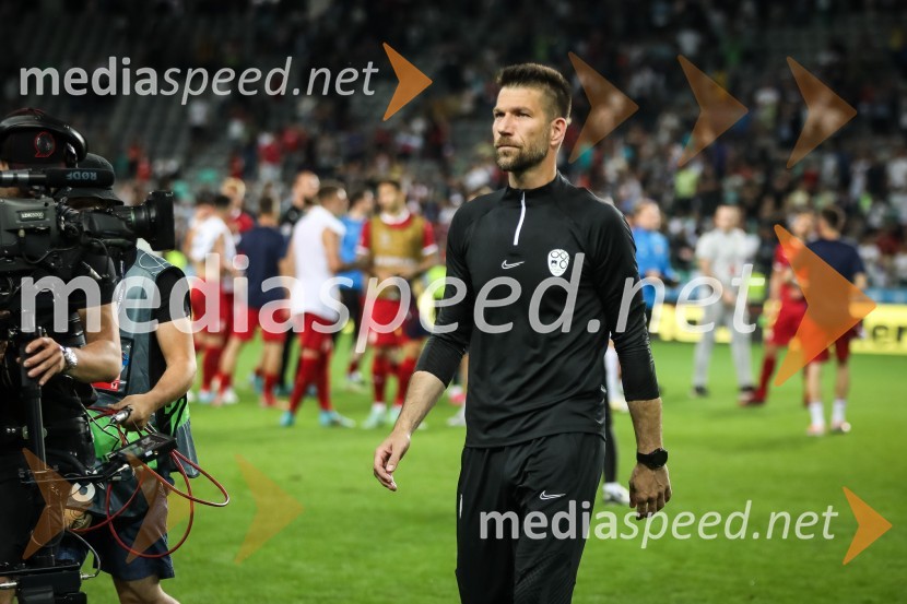 Nogometna tekma Slovenija-Srbija