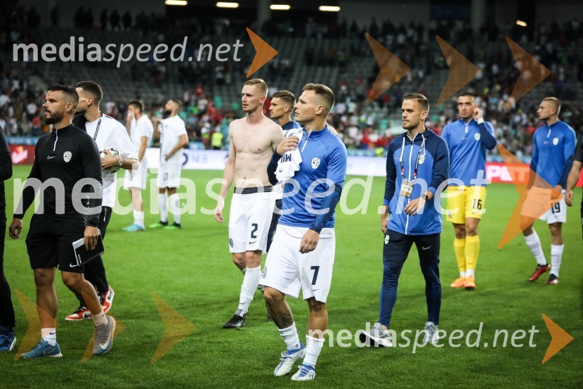 Nogometna tekma Slovenija-Srbija