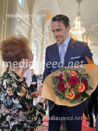  Elza Budau, slovenska tekstopiska, pesnica in pisateljica;  ... Predsednik Pahor odlikoval Elzo Budau, Edwarda Cluga in Ervina Hartmana