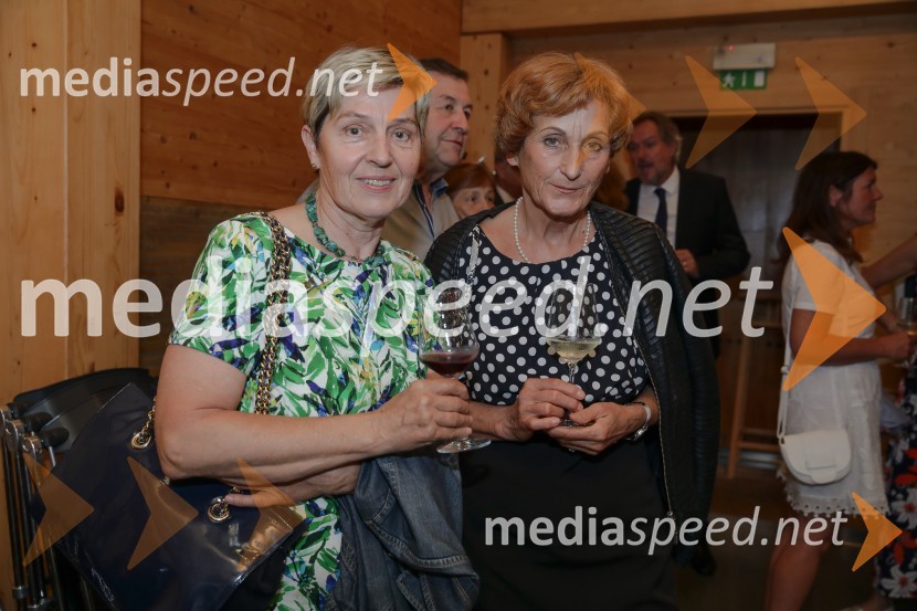 Urška Klakočar Zupančič v pogovoru z Darjo Groznik, na Škrabčevi domačiji