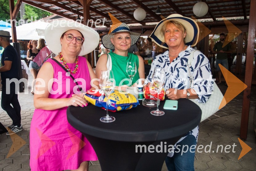 Lady piknik pod klobuki 2022