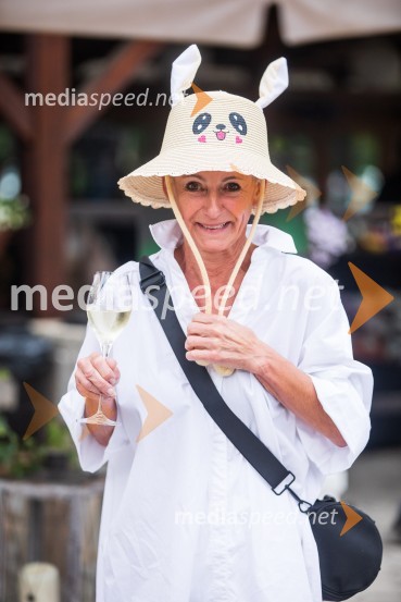 Lady piknik pod klobuki 2022