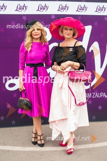  Darja Kuhar Kotnik, soustanoviteljica in podpredsednica Društva za zdravje naroda;  ... Lady piknik pod klobuki 2022