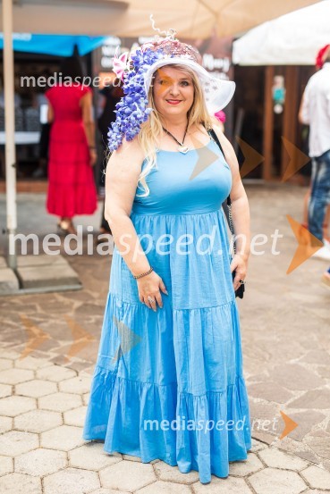 Lady piknik pod klobuki 2022