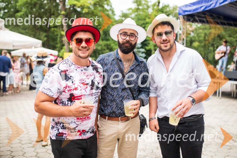 Lady piknik pod klobuki 2022