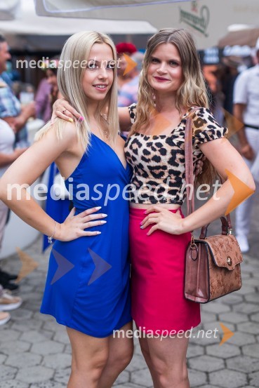 Lady piknik pod klobuki 2022