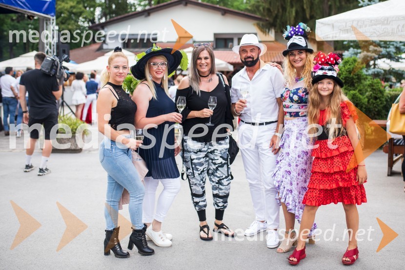 Lady piknik pod klobuki 2022