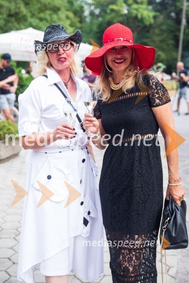 Lady piknik pod klobuki 2022