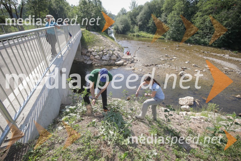  ... ;  Sonja Rozman, Zavod RS za varstvo naraveAkcija Očistimo Kranj invazivk