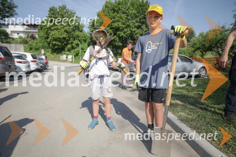 Akcija Očistimo Kranj invazivk